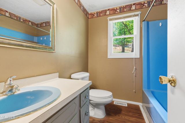 433 Mimosa Street, Mount Carmel, TN 37645