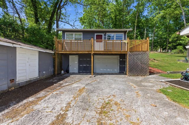 433 Mimosa Street, Mount Carmel, TN 37645