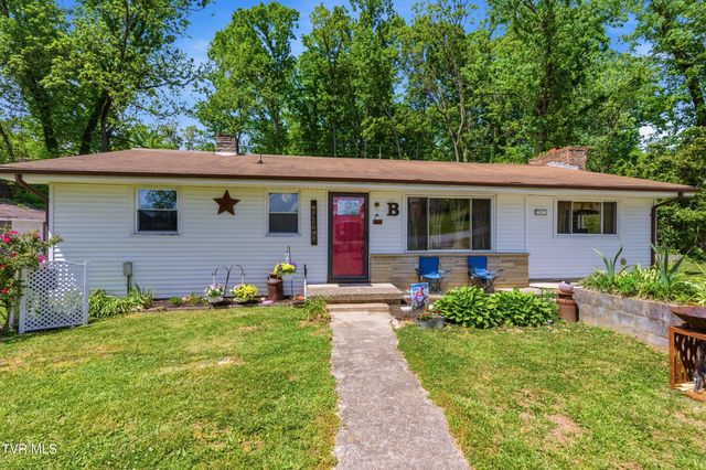 433 Mimosa Street, Mount Carmel, TN 37645