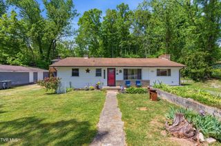 433 Mimosa Street, Mount Carmel, TN 37645