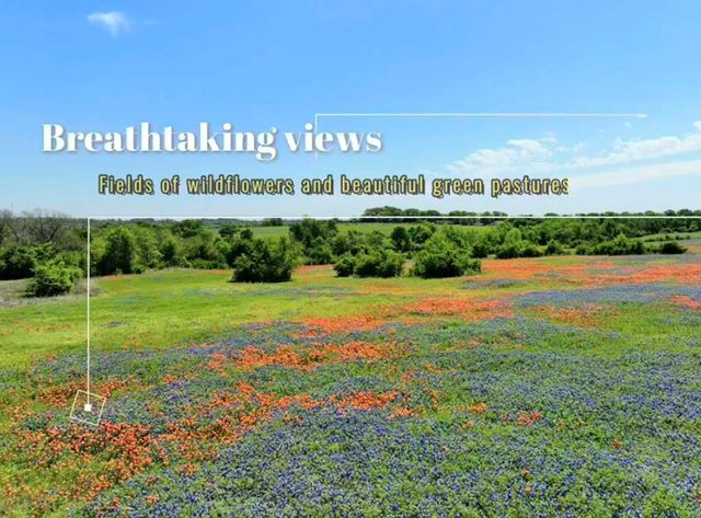 00068 Sh 249, Navasota, TX 77868