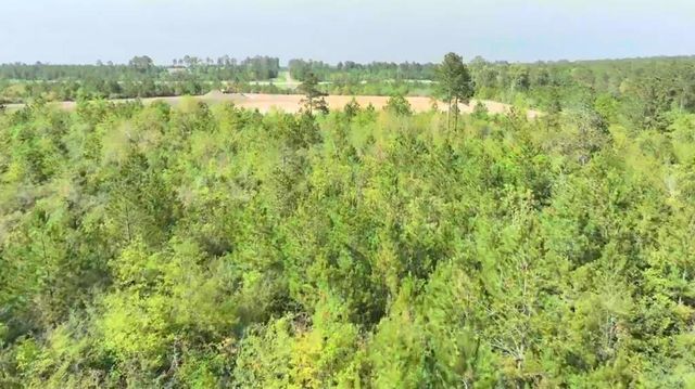00068 Sh 249, Navasota, TX 77868