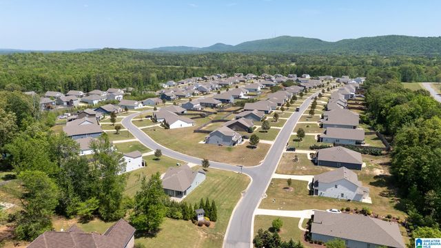1189 MOUNTAIN LAUREL CIRCLE, Moody, AL 35004