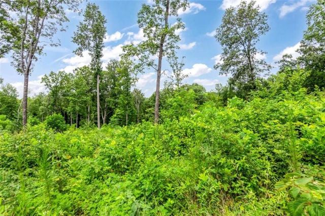 1084 Highgrove Drive, Talking Rock, GA 30175