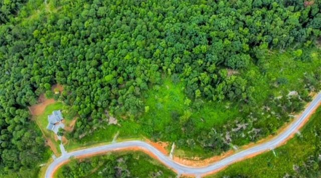 1084 Highgrove Drive, Talking Rock, GA 30175