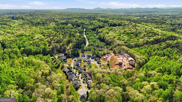 139 Saluda Drive, Demorest, GA 30535