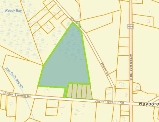 TBD Joyner Swamp Rd., Galivants Ferry, SC 29544