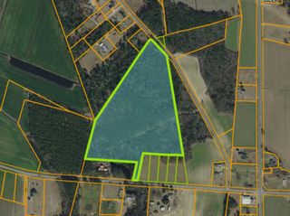 TBD Joyner Swamp Rd., Galivants Ferry, SC 29544