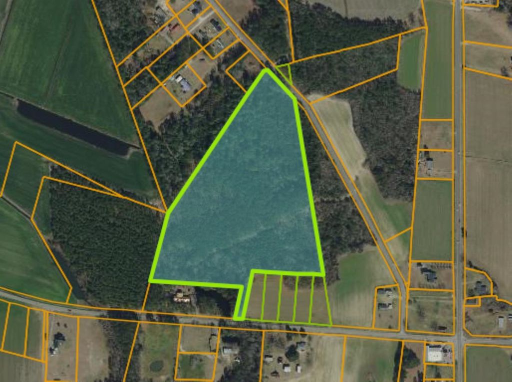 TBD Joyner Swamp Rd., Galivants Ferry, SC 29544