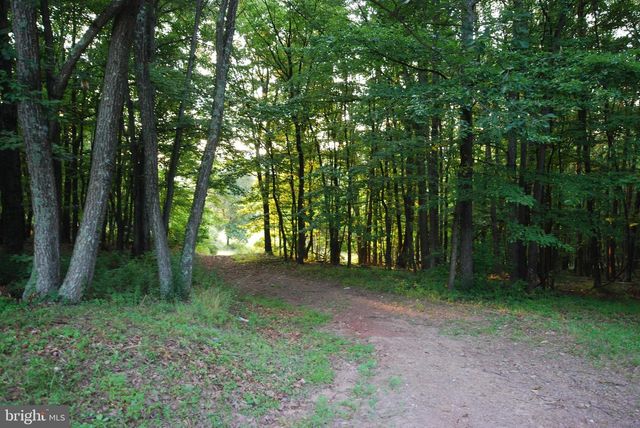 729 ANTHONY BOHRER RD, Slanesville, WV 25444