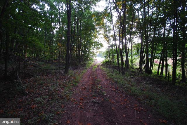 729 ANTHONY BOHRER RD, Slanesville, WV 25444