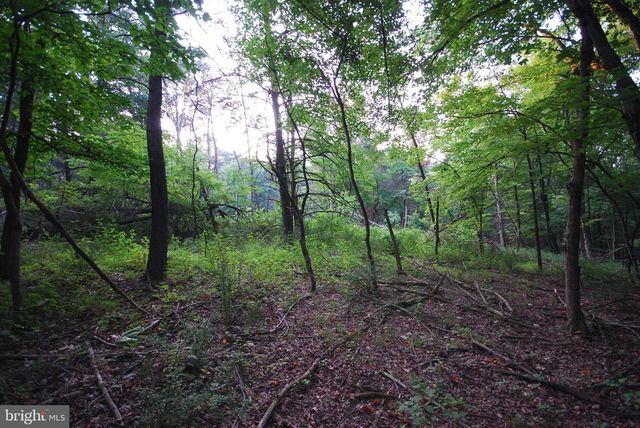 729 ANTHONY BOHRER RD, Slanesville, WV 25444