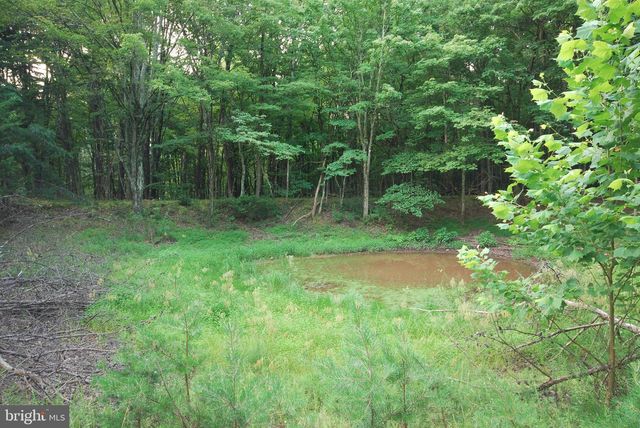 729 ANTHONY BOHRER RD, Slanesville, WV 25444