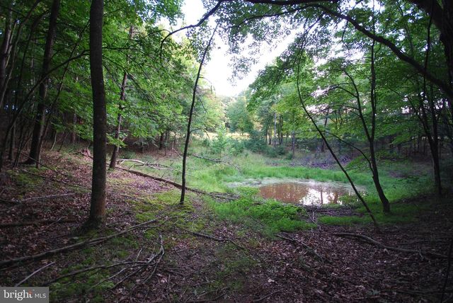 729 ANTHONY BOHRER RD, Slanesville, WV 25444