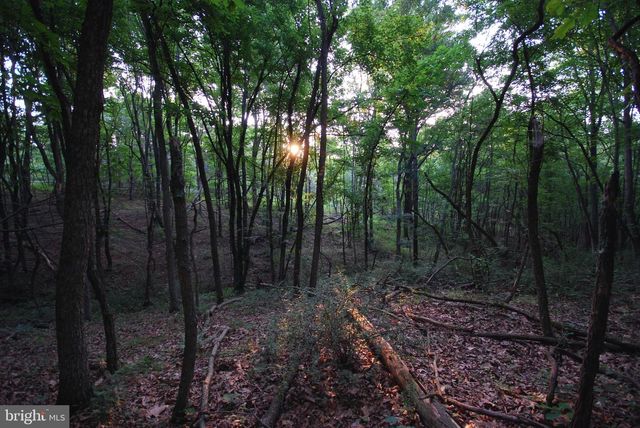 729 ANTHONY BOHRER RD, Slanesville, WV 25444