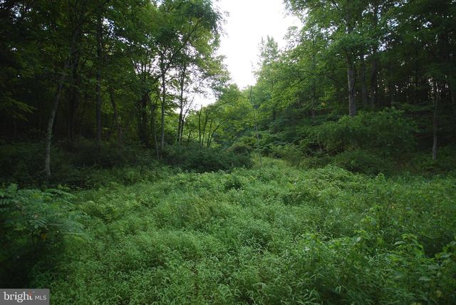 729 ANTHONY BOHRER RD, Slanesville, WV 25444