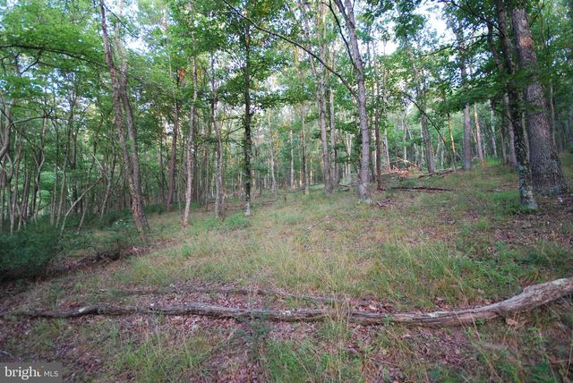 729 ANTHONY BOHRER RD, Slanesville, WV 25444