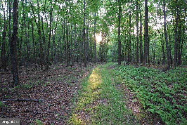 729 ANTHONY BOHRER RD, Slanesville, WV 25444