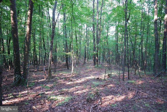 729 ANTHONY BOHRER RD, Slanesville, WV 25444