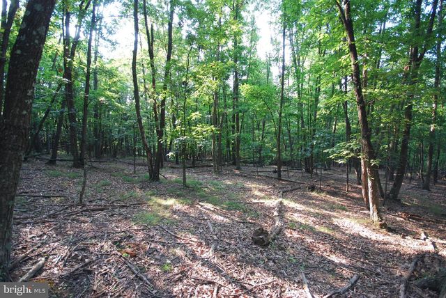 729 ANTHONY BOHRER RD, Slanesville, WV 25444