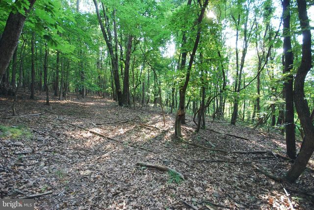 729 ANTHONY BOHRER RD, Slanesville, WV 25444
