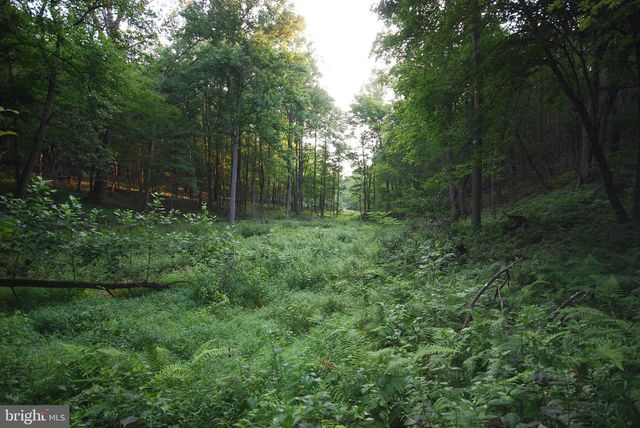 729 ANTHONY BOHRER RD, Slanesville, WV 25444