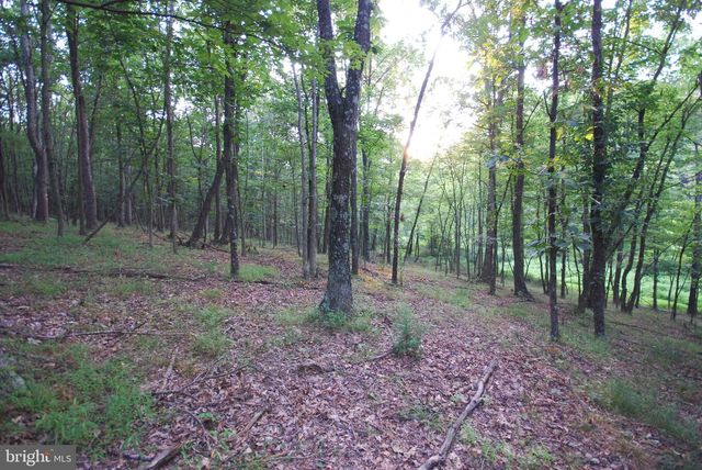 729 ANTHONY BOHRER RD, Slanesville, WV 25444