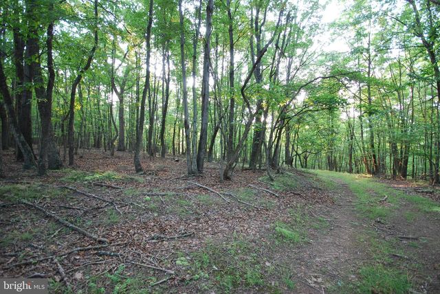 729 ANTHONY BOHRER RD, Slanesville, WV 25444