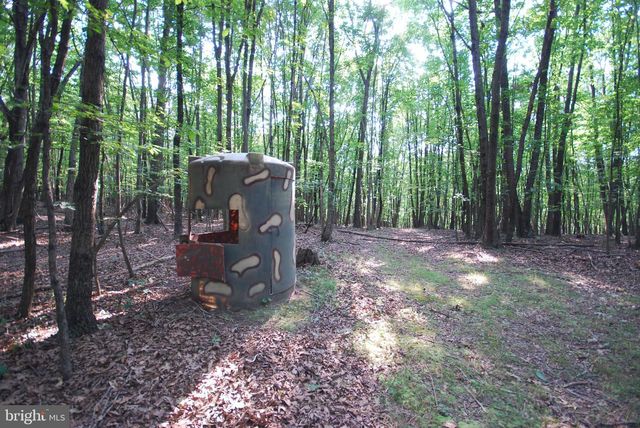 729 ANTHONY BOHRER RD, Slanesville, WV 25444