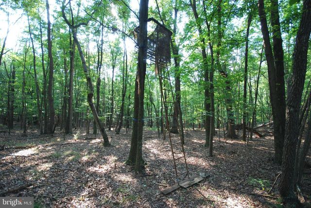 729 ANTHONY BOHRER RD, Slanesville, WV 25444
