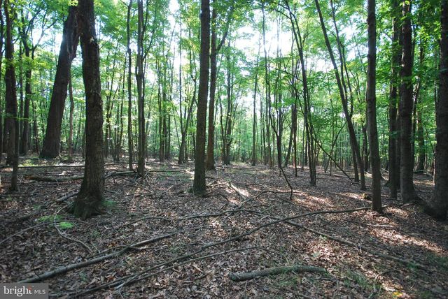 729 ANTHONY BOHRER RD, Slanesville, WV 25444