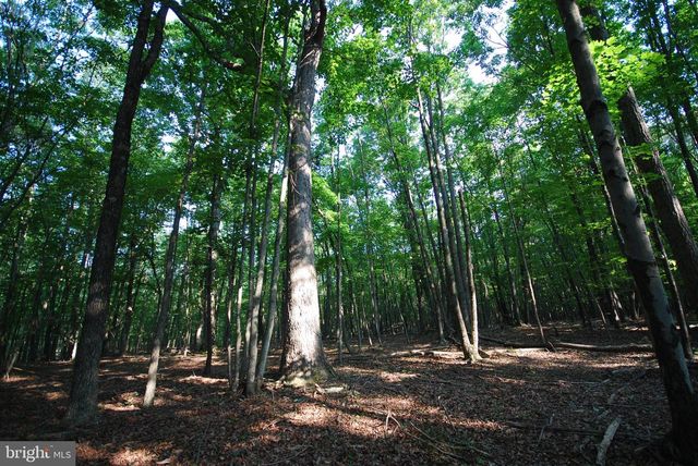 729 ANTHONY BOHRER RD, Slanesville, WV 25444