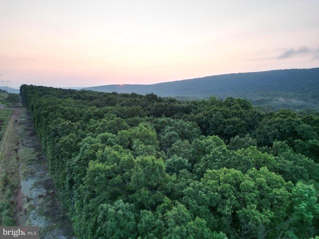 729 ANTHONY BOHRER RD, Slanesville, WV 25444