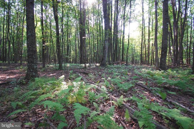 729 ANTHONY BOHRER RD, Slanesville, WV 25444