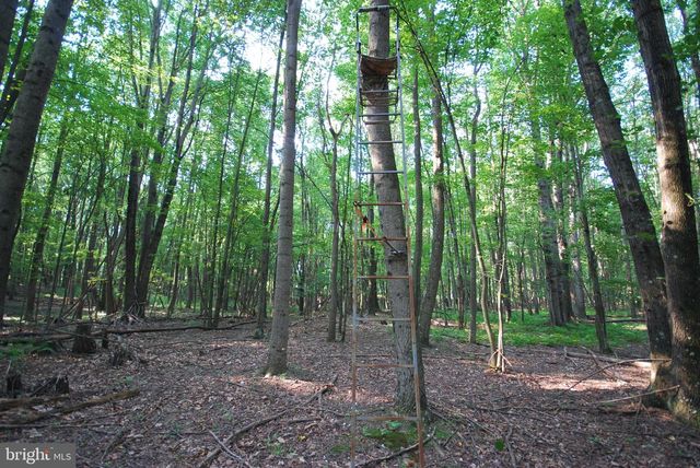 729 ANTHONY BOHRER RD, Slanesville, WV 25444