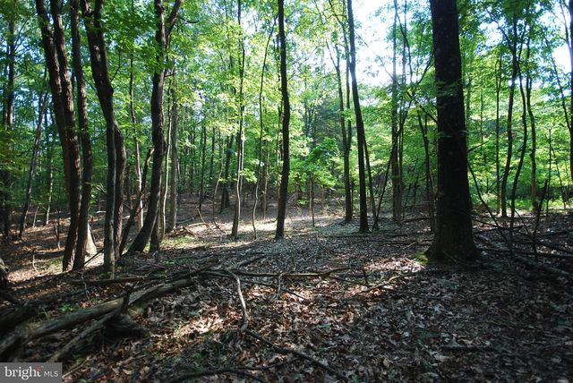 729 ANTHONY BOHRER RD, Slanesville, WV 25444