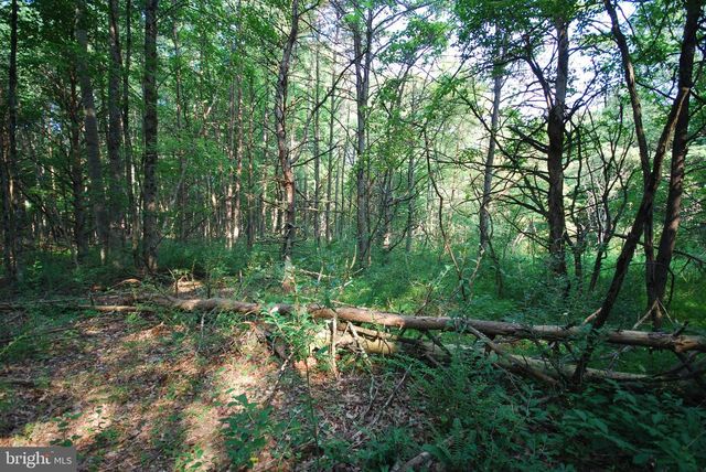 729 ANTHONY BOHRER RD, Slanesville, WV 25444