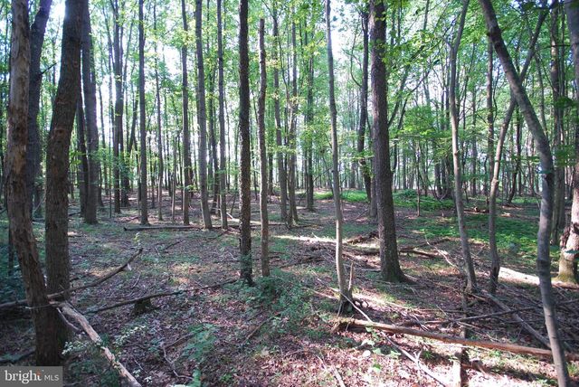 729 ANTHONY BOHRER RD, Slanesville, WV 25444