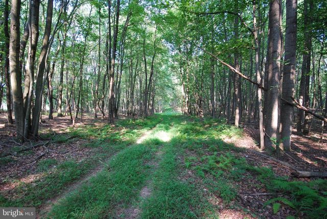 729 ANTHONY BOHRER RD, Slanesville, WV 25444