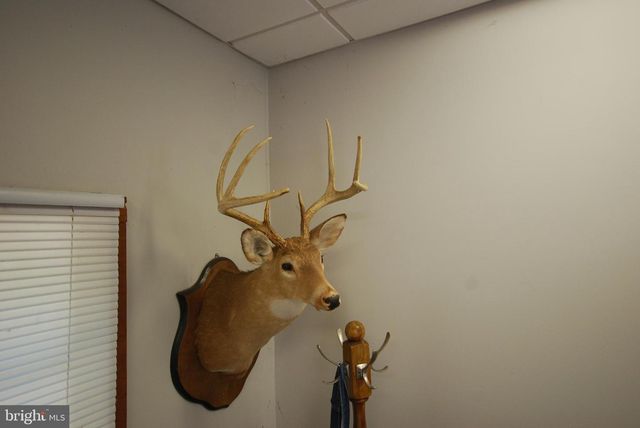 729 ANTHONY BOHRER RD, Slanesville, WV 25444