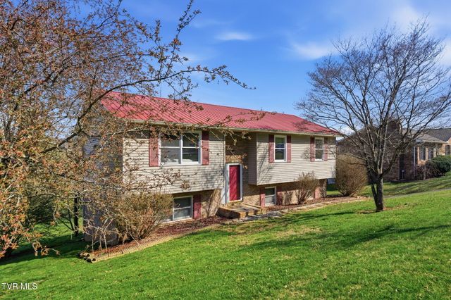 905 South Sherbrooke Drive, Mount Carmel, TN 37645