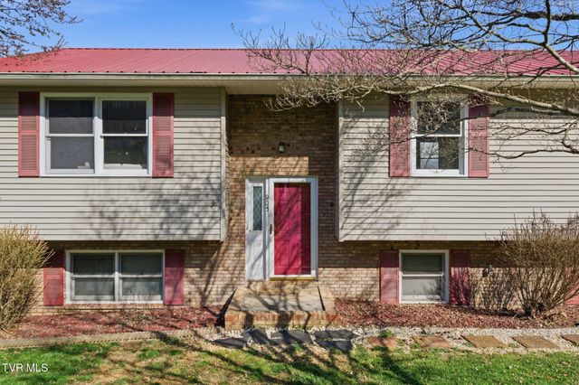 905 South Sherbrooke Drive, Mount Carmel, TN 37645