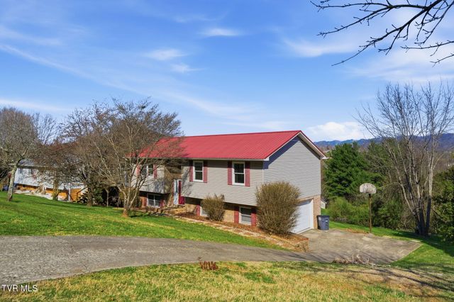 905 South Sherbrooke Drive, Mount Carmel, TN 37645