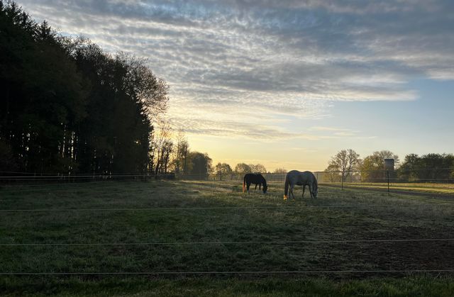 19250 Homer Road, Eckford Twp, MI 49068