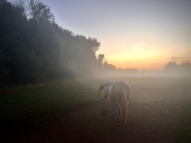 19250 Homer Road, Eckford Twp, MI 49068