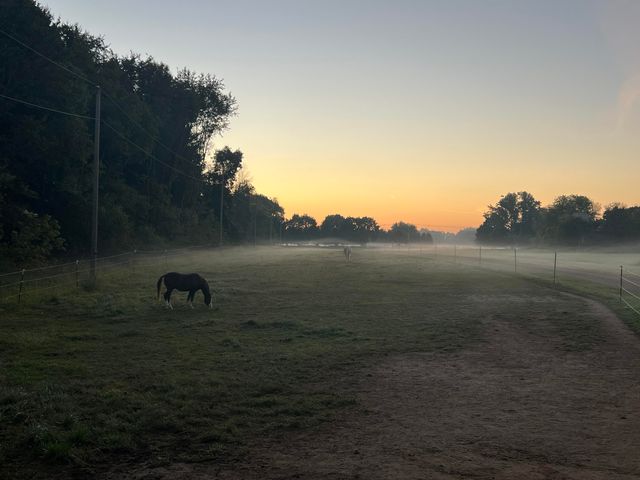 19250 Homer Road, Eckford Twp, MI 49068