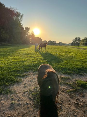 19250 Homer Road, Eckford Twp, MI 49068