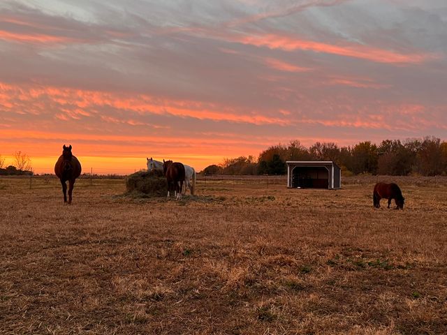 19250 Homer Road, Eckford Twp, MI 49068