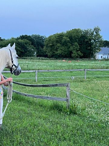 19250 Homer Road, Eckford Twp, MI 49068