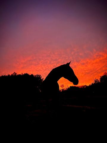 19250 Homer Road, Eckford Twp, MI 49068